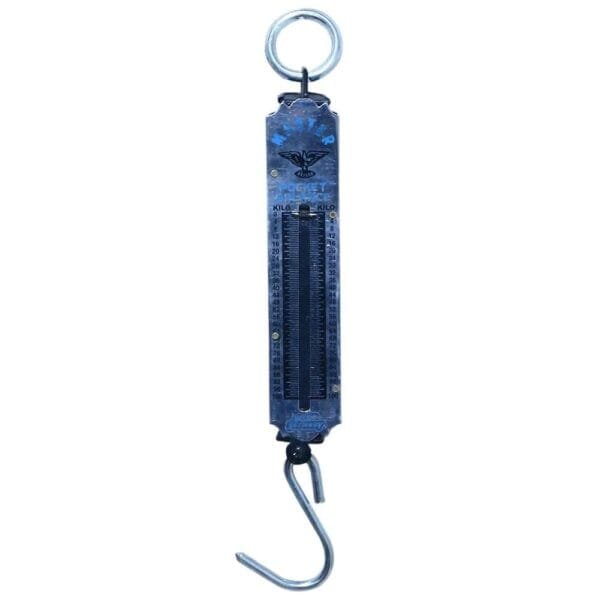 Hanging Spring Scale Master (100kg)